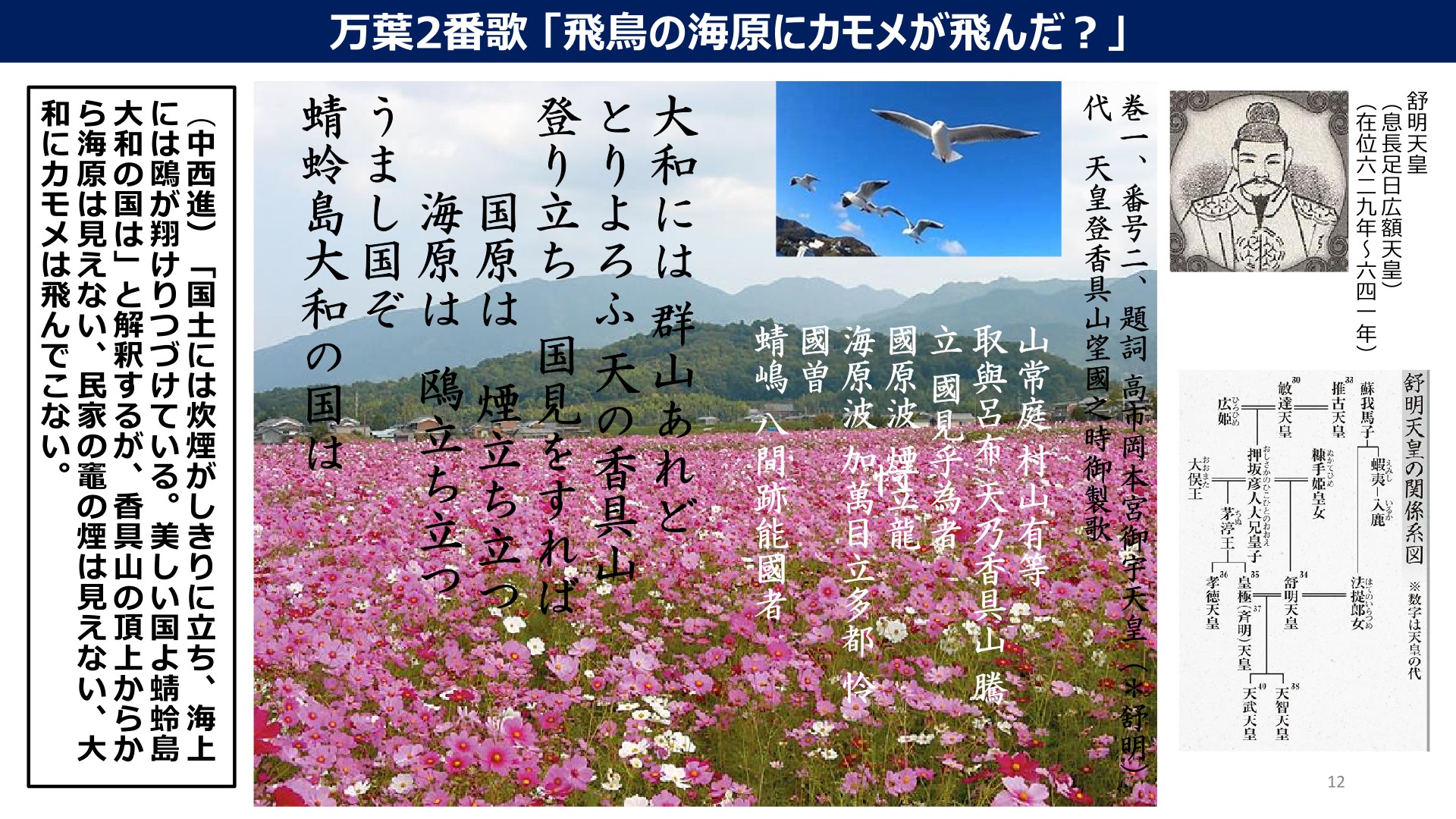 万葉集巻一の二 「飛鳥の海原にカモメが飛んだ？」