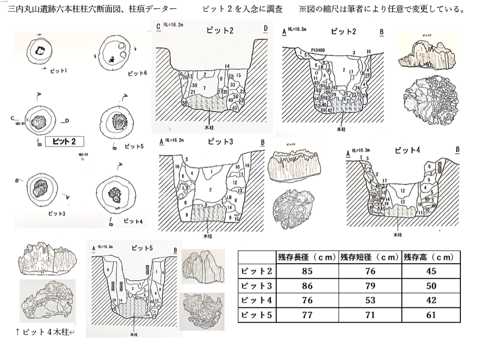 三内丸山遺跡六本柱柱穴断面図、柱痕データー