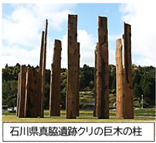 石川県真脇遺跡クリの巨木の柱