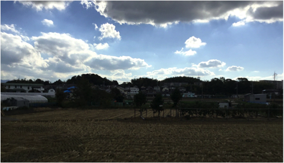 大山大塚古墳、義犬塚古墳、牛神塚古墳