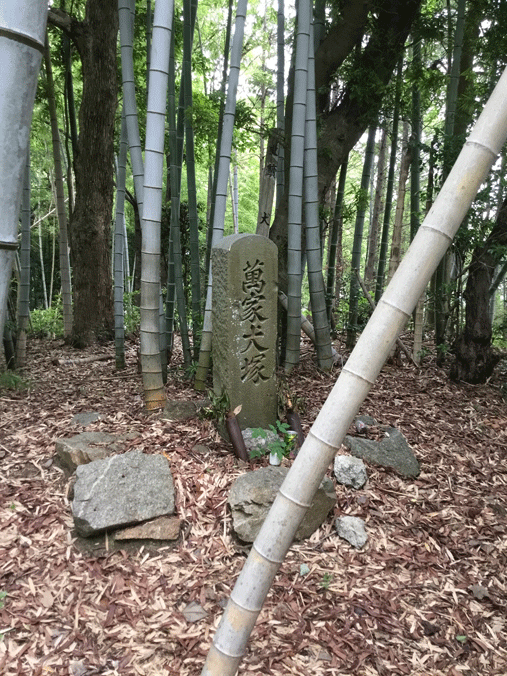 萬の飼っていた白犬の墓とされる義犬塚古墳（天神山１号墳）